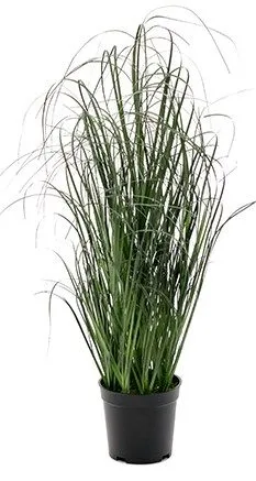 Konstväxt Gräs i Grön Polyeten - 60 cm - Products - Inredning - Dekoration & inredningsdetaljer - Prydnadssaker - Blomsterdekoration