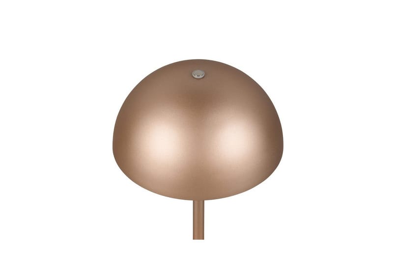 Bordslampa TRIO Munoz Kaffebrun - Kaffebrun - Products - Belysning - Lampor & belysning inomhus - Sovrumslampa - Sänglampa - Sängbordslampa