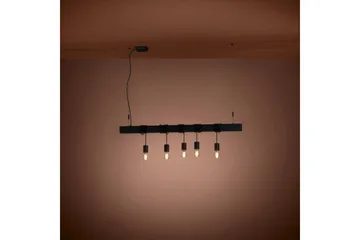 Takpendel Eglo Townshend-B Svart 5 Lampor - 5 Lampor - Products - Belysning - Lampor & belysning inomhus - Taklampa & takbelysning - Pendellampa & hänglampa