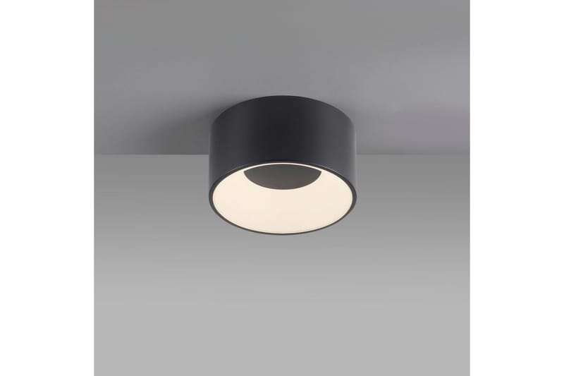 Tanika Just Light Taklampa - Black - Products - Belysning - Lampor & belysning inomhus - Taklampa & takbelysning - Takplafond