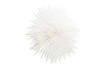 Sälen Adventsstjärna / Jullampa 100 cm - Vit - Products - Belysning - Julbelysning - Adventsstjärna