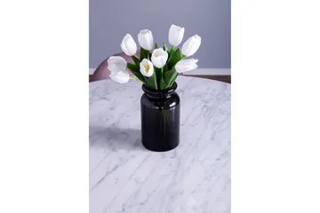 Admira Matgrupp med 4 Valeri Matstolar - Products - Möbler - Bord & matgrupp - Matgrupp