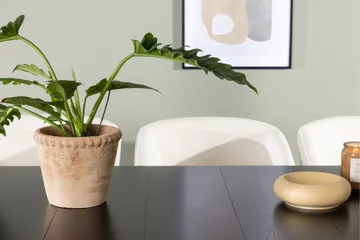 Astrid Matgrupp 200 cm Rektangulär med 6 Day stolar - Svart - Products - Möbler - Bord & matgrupp - Matgrupp