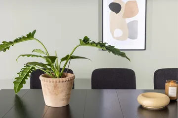 Astrid Matgrupp 200 cm Rektangulär med 6 Yesterday stolar - Svart - Products - Möbler - Bord & matgrupp - Matgrupp