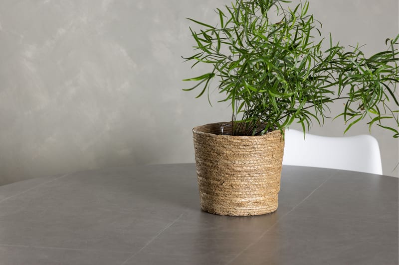 Piazza Matgrupp  120 cm Rund med 4 Zeno stolar - Grå - Products - Möbler - Bord & matgrupp - Matgrupp