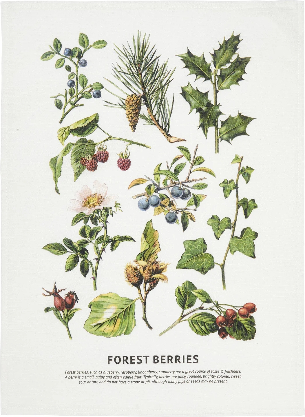 Waldk�chentuch 50 x 70 cm - Gr�n