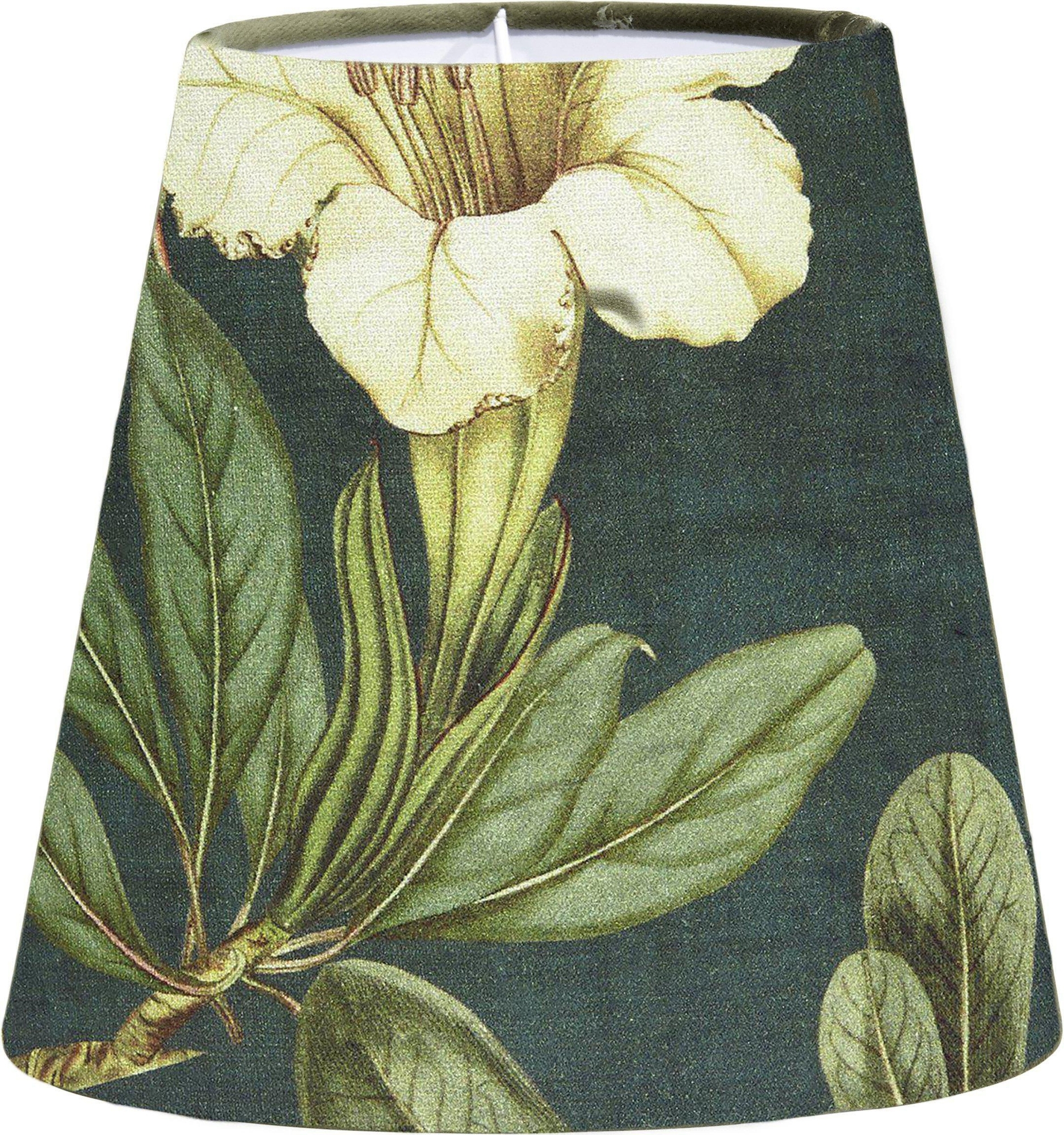 Cia Botany oberer Ringschirm - Gr�n - 20 cm