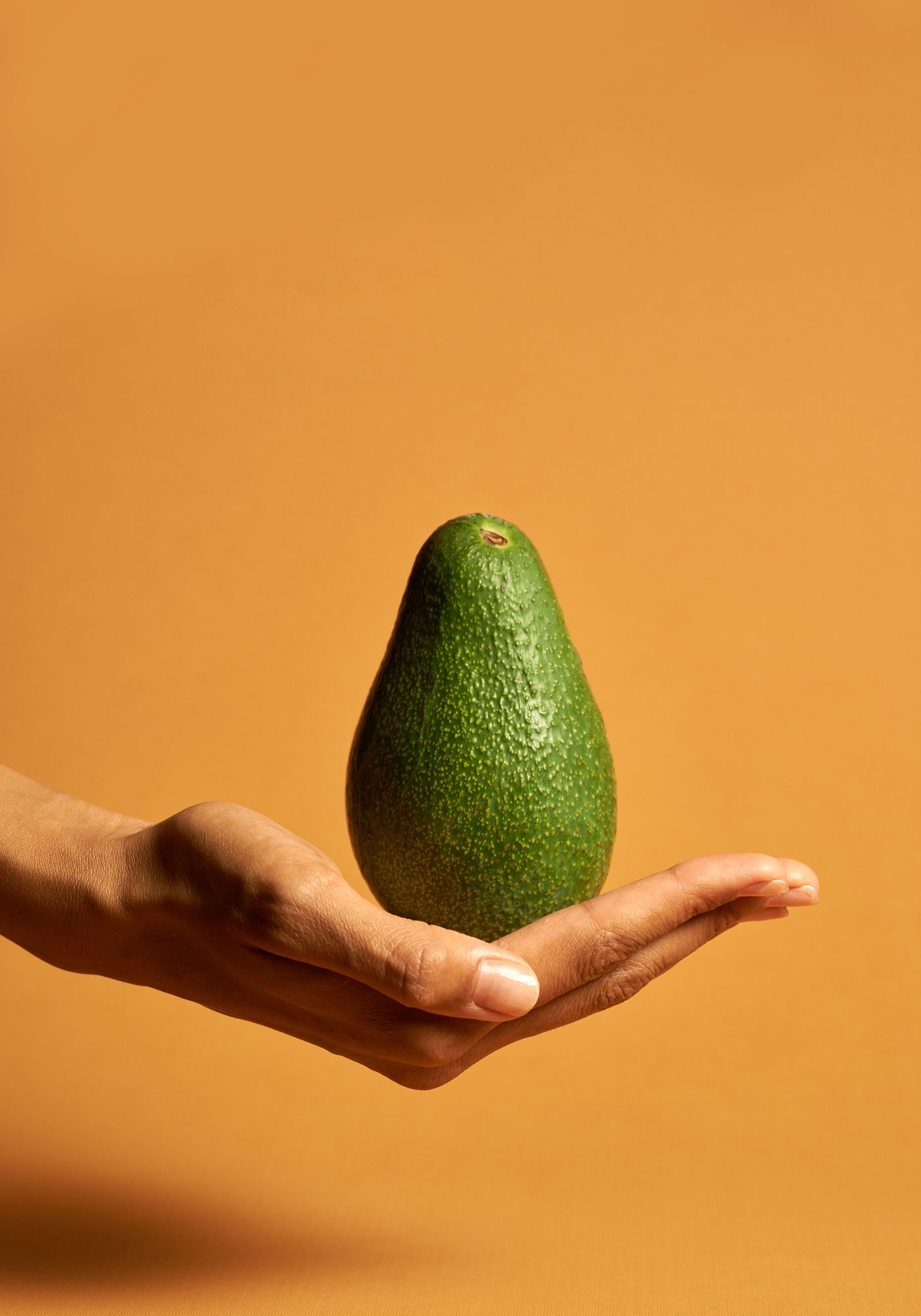 Poster - Avocado
