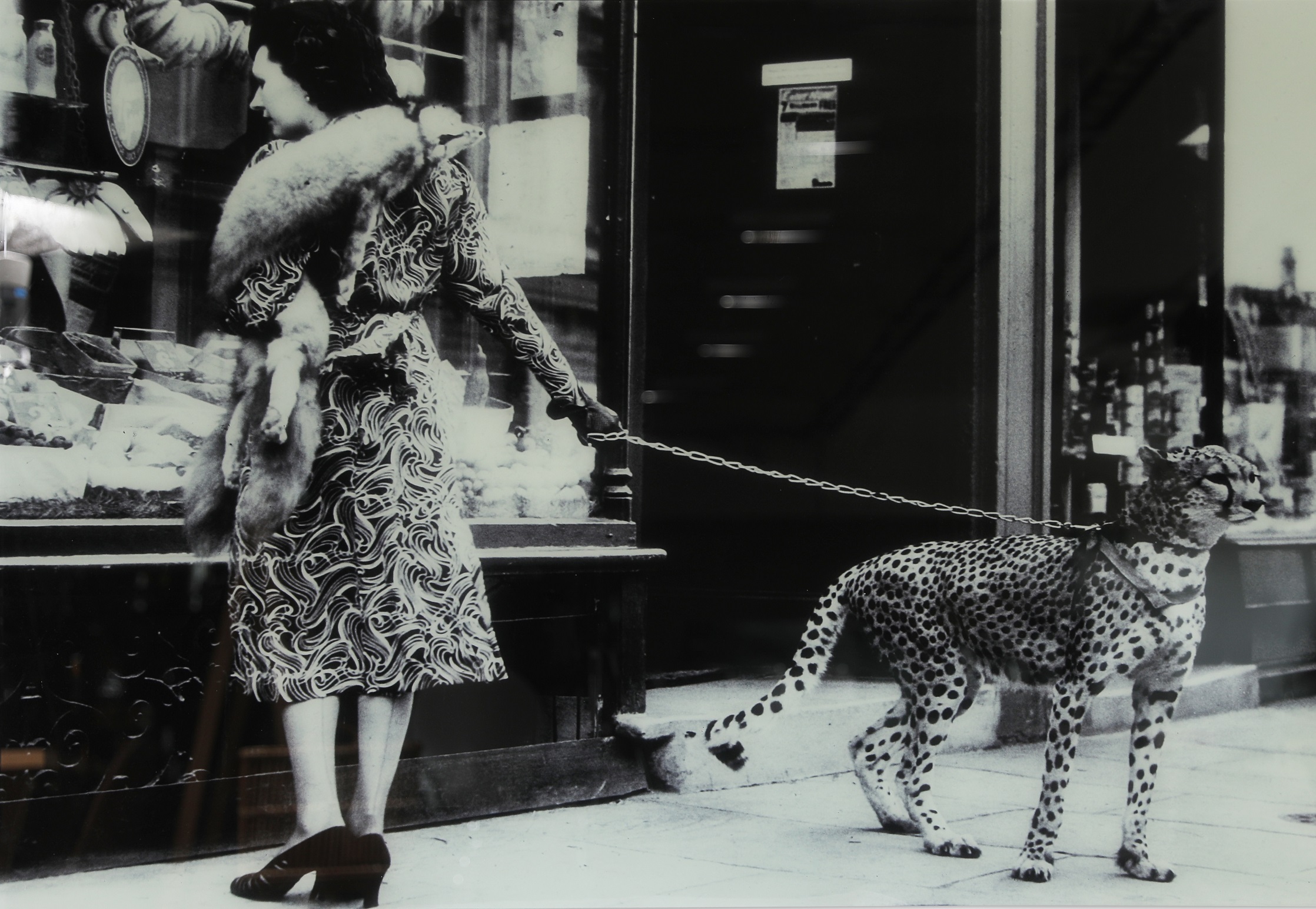 Glasplatte Cheeta - 150x100 cm