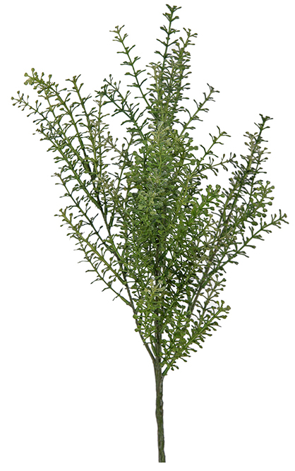 K�nstliche Thlapsi-Blume