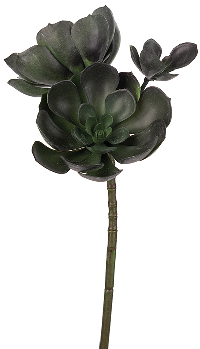 Echeveria k�nstliche Pflanze