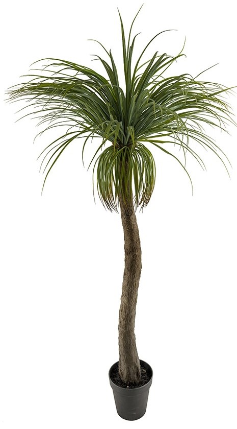 Flaschenlilie Kunstpflanze