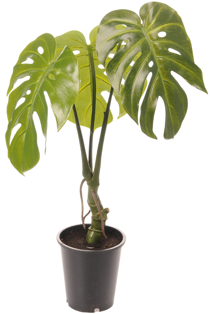 K�nstliche Monsterpflanze