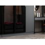 Cikani Kleiderschrank mit Spiegeltren 225x52x210 cm - Anthrazit