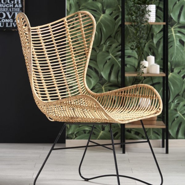 Maryann Sessel - Rattan/schwarz + Fleckentferner fr Mbel