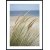 Posterworld - Motiv Windy Beach - 70 x 100 cm