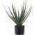 Kunstpflanze Aloe Vera - H: 51 cm - Grn