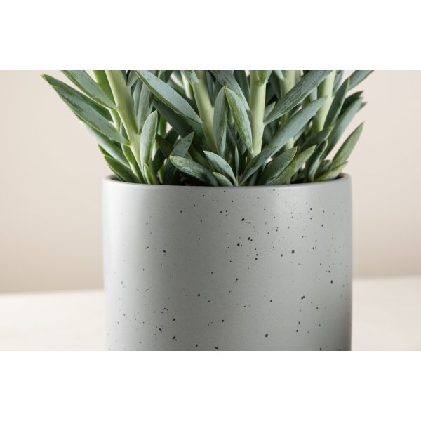 Sane Topf 18 x 17 cm - Dunkelgrau/Schwarz Sane Topf 18 x 17 cm - Dunkelgrau/Schwarz