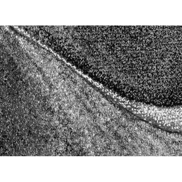 Maschinengewebter Teppich Arvel - grau Maschinengewebter Teppich Arvel - grau