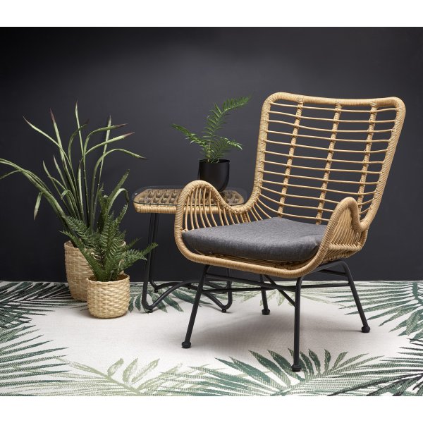 Minos Sessel - Rattan + Fleckentferner fr Mbel