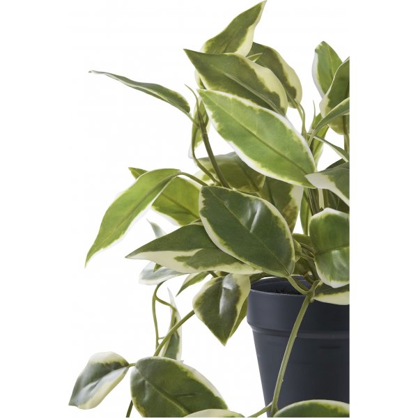 Kunstpflanze aus Porzellanblume - Grün Kunstpflanze aus Porzellanblume - Grün