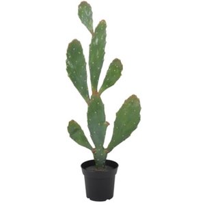 Kunstpflanze - Verde Kaktus 92 cm