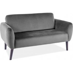 Elsa 2-Sitzer-Sofa - Grauer Samt