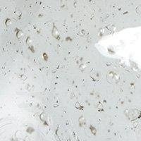 Groove-Lampensockel - Klarglas - 30 cm Groove-Lampensockel - Klarglas - 30 cm