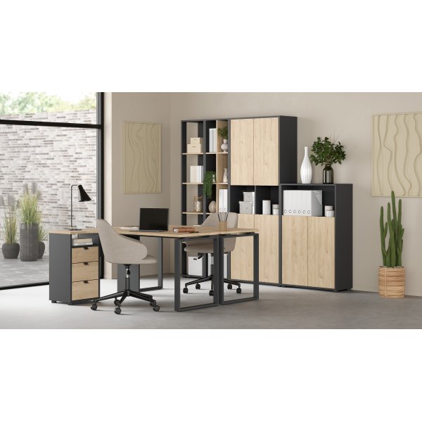 Schilder-B�cherregal mit Trennw�nden - Mattgrau/Hickory