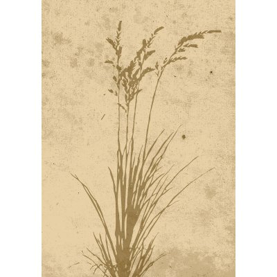 Poster - Pflanzenkunst
