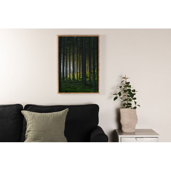 Poster - Wald Poster - Wald