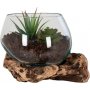 San Marino Wassertropfenvase - Teak/Glas - 15