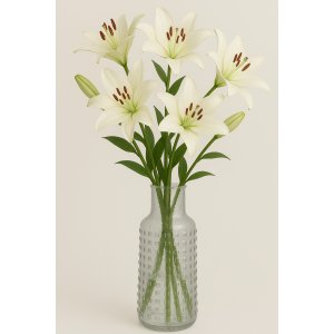 Vase Circle H30 cm - Clear Vase Circle H30 cm - Clear