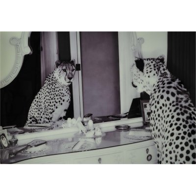 Glasmalerei - Cheeta - 100x150 cm