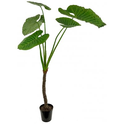 Alocasia knstliche Pflanze