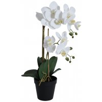Kunstpflanze - Orchidee 2 Stängel H54 cm - Weiß