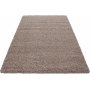 Coze-Teppich - Beige