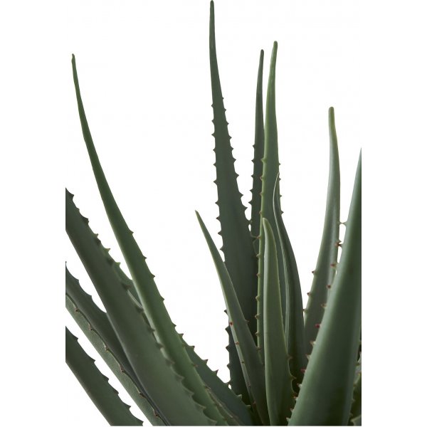 Kunstpflanze Aloe Vera - H: 51 cm - Grn