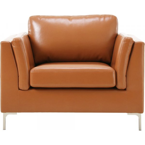 Sessel cognacfarbenes Kunstleder - Cansas + Fleckentferner fr Mbel