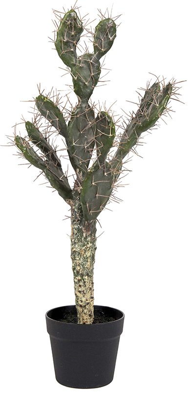 kaktus künstliche pflanze - €77.99 