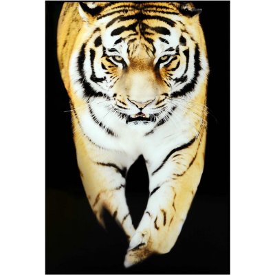 Glasmalerei - Tiger - 120x80 cm