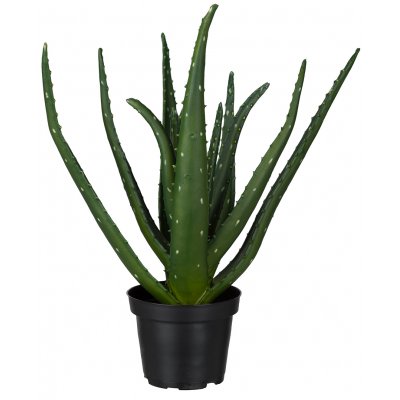Aloe knstliche Pflanze
